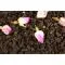 Габа Алишань Улун с цветами розы - small image 7