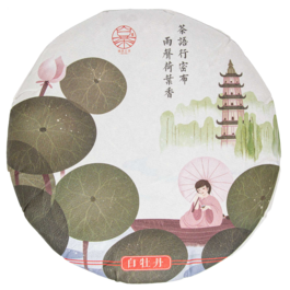 Белый прессованный чай "Бай Му Дань Бин" 2017 год