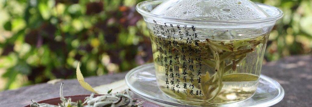 Белый чай: свежесть весеннего утра в вашей пиале 