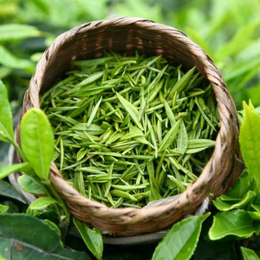 Зелений чай і тиск – чи є зв'язок?