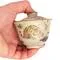 Гайвань 150 мл "Тигрёнок", керамика из Цзиндечжень, роспись - small image 7