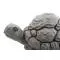 Чашень "Каменная черепаха" - small image 11