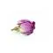 Французька троянда - small image 6