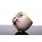 Піала "Панда кохання" порцеляна з Цзиндечжень, 90 мл - small image 6