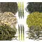 Набір пробників "Зелений чай" з 7 сортів чаю - small image 1